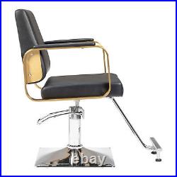 Adjustable Hair Salon Chair Heavy Duty Hydraulic Barber Chair with Footrest NEW