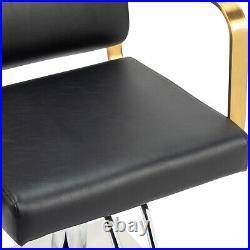 Adjustable Hair Salon Chair Heavy Duty Hydraulic Barber Chair with Footrest NEW