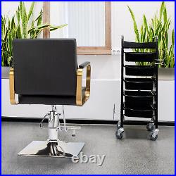 Adjustable Hair Salon Chair Heavy Duty Hydraulic Barber Chair with Footrest NEW