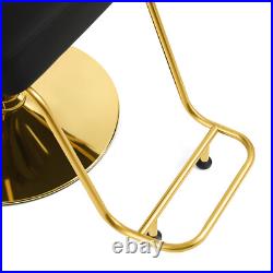 Artist Hand Black+Gold 360° Heavy Duty Hydraulic Barber Chair Beauty Salon