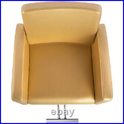 Artist Hand Gold Hydraulic Barber Chair Heavy Duty Hair Beauty Salon 360°Styling