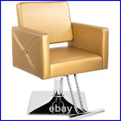 Artist Hand Gold Hydraulic Barber Chair Heavy Duty Hair Beauty Salon 360°Styling