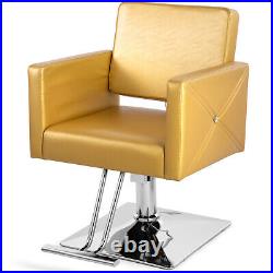 Artist Hand Gold Hydraulic Barber Chair Heavy Duty Hair Beauty Salon 360°Styling