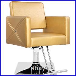 Artist Hand Gold Hydraulic Barber Chair Heavy Duty Hair Beauty Salon 360°Styling