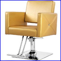 Artist Hand Gold Hydraulic Barber Chair Heavy Duty Hair Beauty Salon 360°Styling