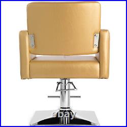 Artist Hand Gold Hydraulic Barber Chair Heavy Duty Hair Beauty Salon 360°Styling