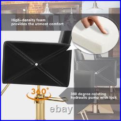 Black+Gold Heavy Duty Hydraulic Barber Chair Hair Styling Salon