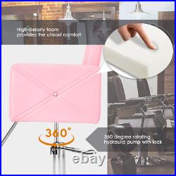 Classic Heavy Duty Hydraulic Barber Chair Hair Styling Salon SpaBeauty Equipment