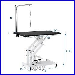 Heavy Duty Adjustable Hydraulic Dog Pet Grooming Table Big Size Z-Lift Cat