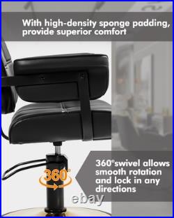 Heavy Duty Hydraulic Barber Chair Stylist Salon Spa Beauty (Black&Gold)