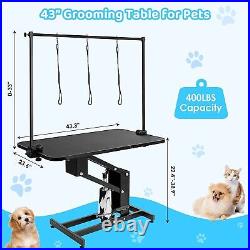 Heavy Duty Z-Lift Hydraulic Pet Dog Grooming Table For Large Dogs with Clamb Arm