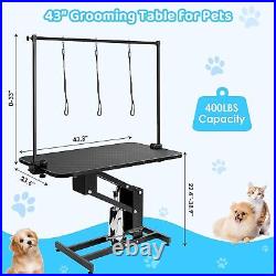 Heavy Duty Z-Lift Hydraulic Pet Dog Grooming Table for Large Dogs With Noose 400lb