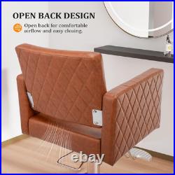 Hydraulic Barber Chair Heavy Duty Styling Chair for Salon Chair Spa Tattoo Chair