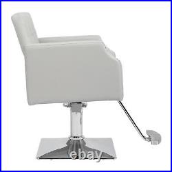 Hydraulic Barber Chair Heavy Duty Styling Chair for Salon Chair Tattoo Chair
