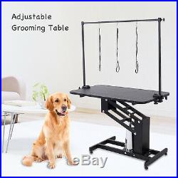 Z-Lift Hydraulic Dog Pet Grooming Table Portable Arm & Noose Make up Adjustable